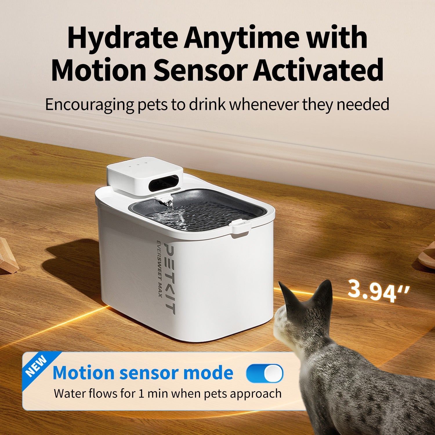 EverSweet Max (Cordless) Pet Water Fountain