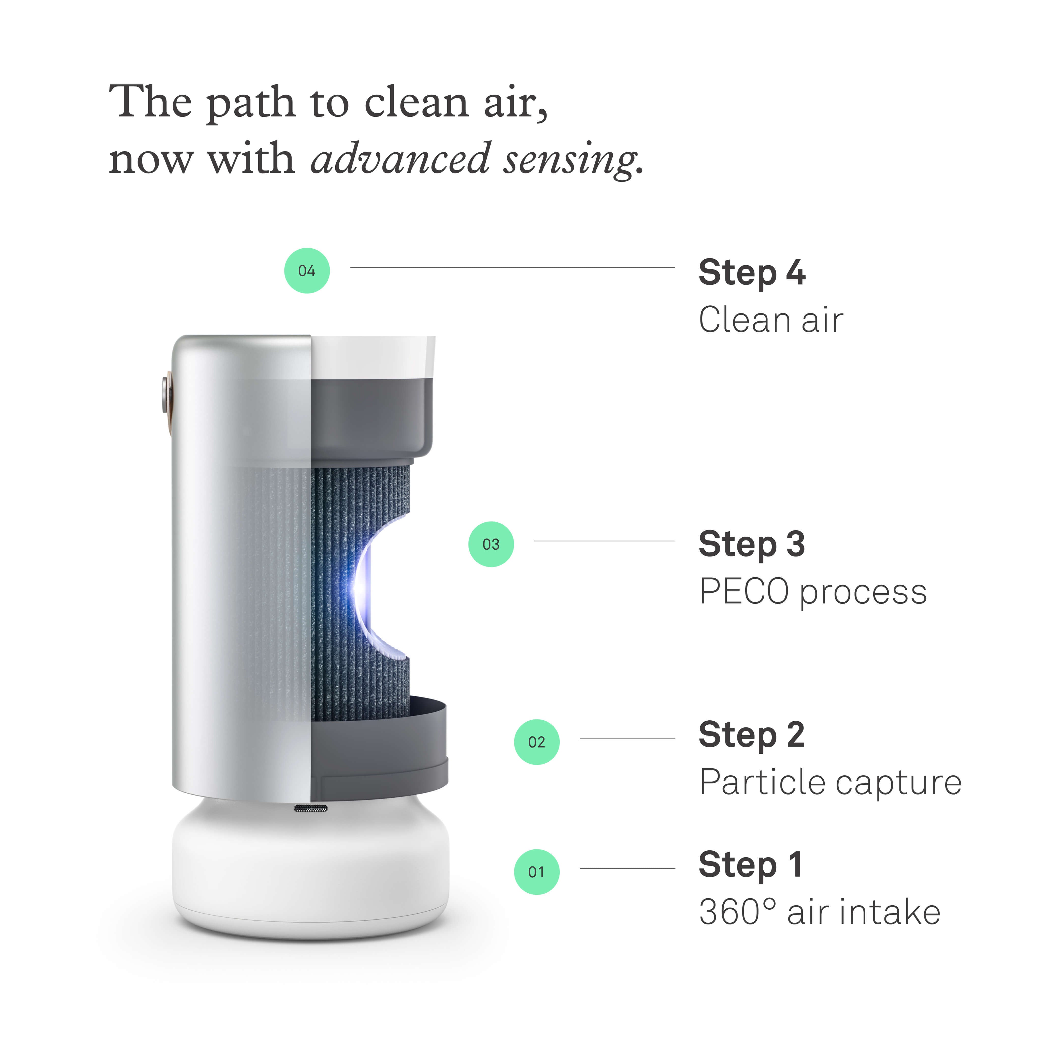Molekule Air Pro PECO-HEPA Tri-Power filter