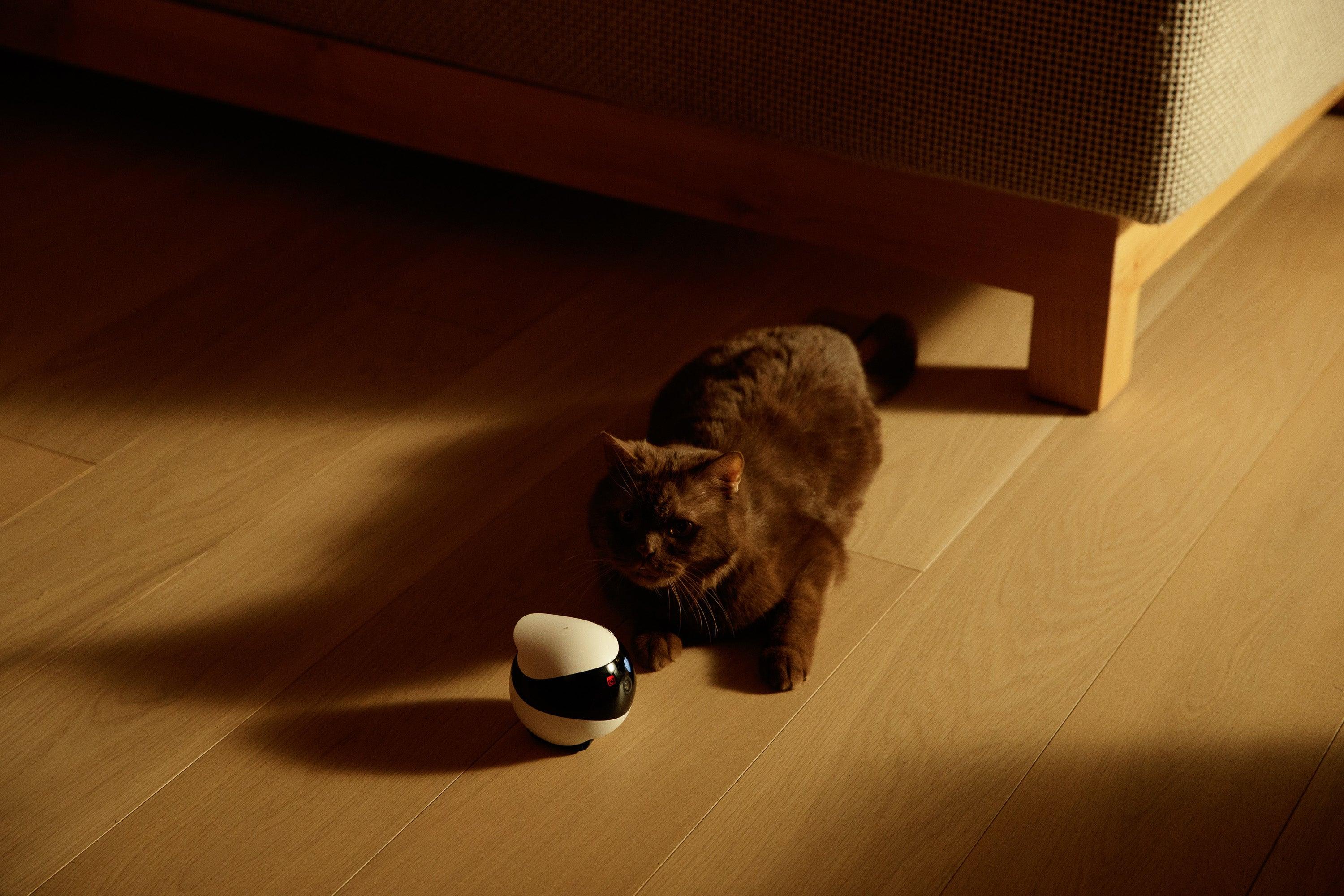 Enabot EBO SE Wireless Camera Robot