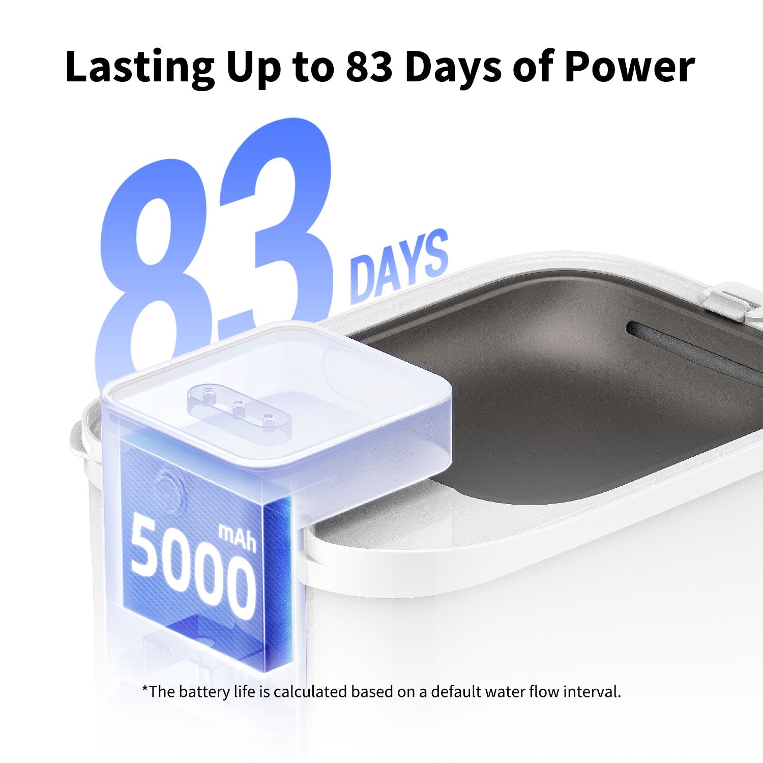 EverSweet Max (Cordless) Ultimate Bundles