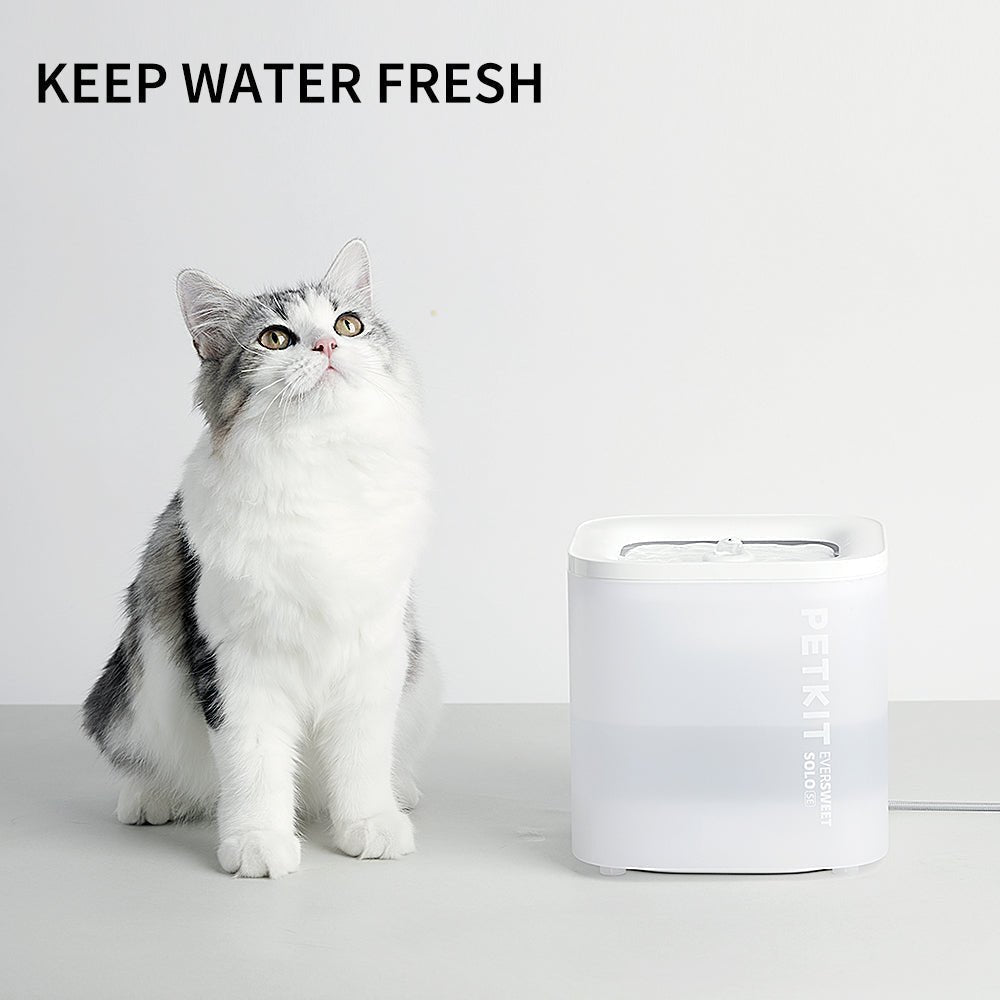 EverSweet Solo SE Pet Water Fountain