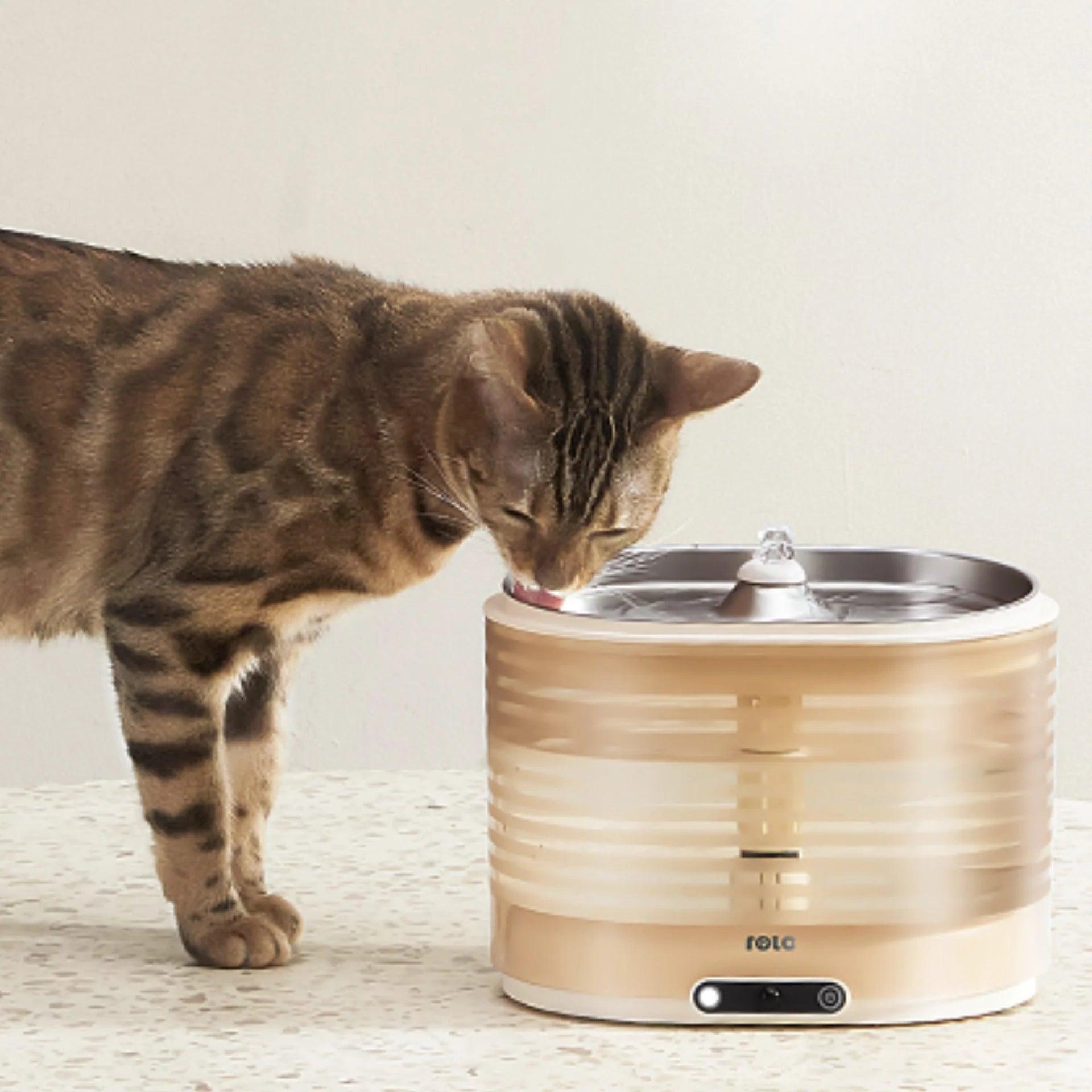 Enabot ROLA Smart Pet Water Fountain