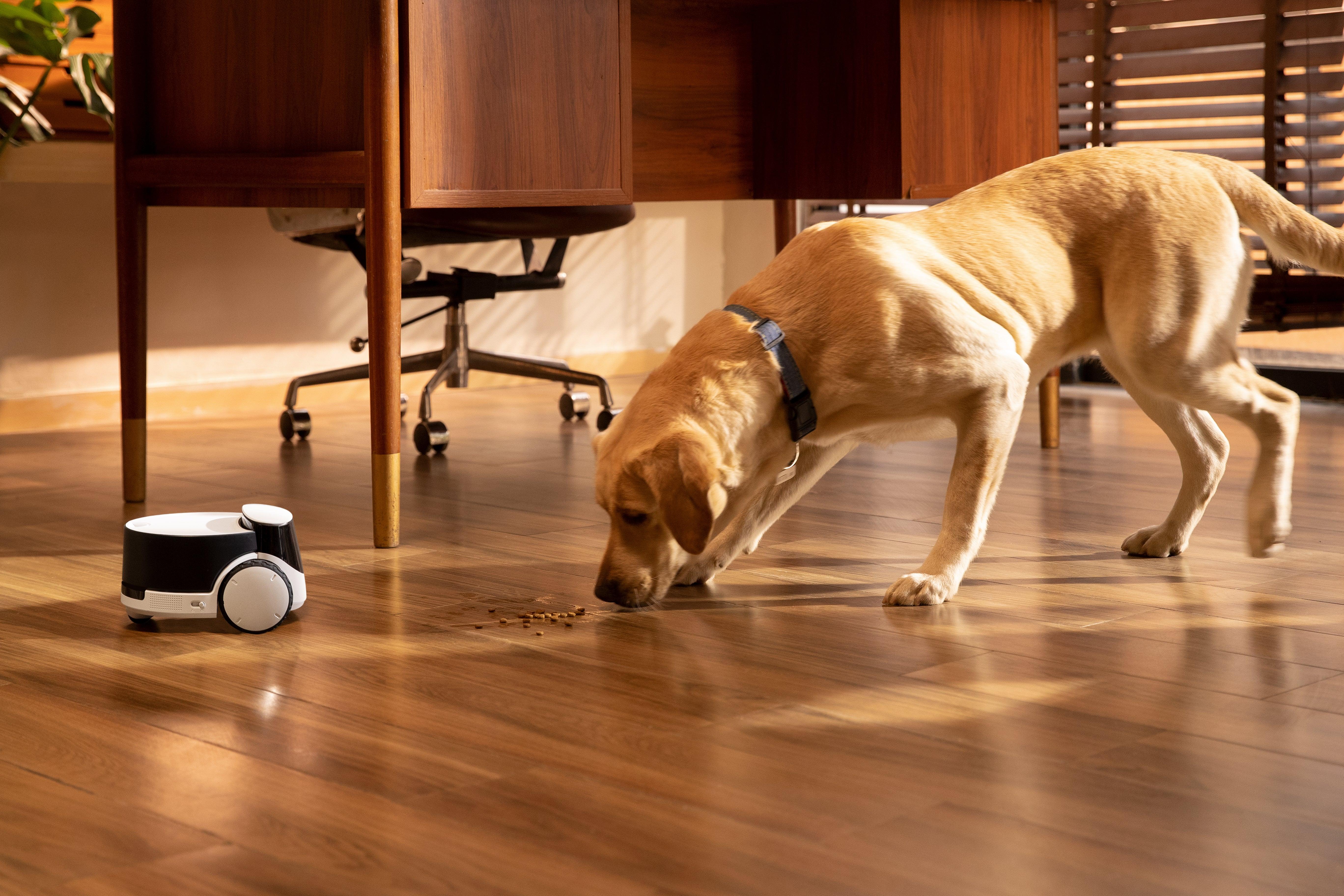 Enabot ROLA PetPal Robot Pet Companion