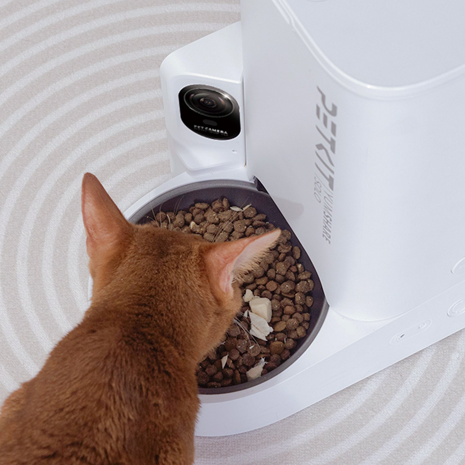YumShare Solo Automatic Feeder with Camera