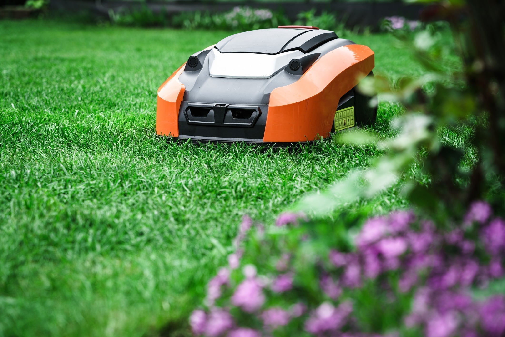 Do Robotic Lawn Mowers & Pool Cleaners Work? We Put Them to the Test