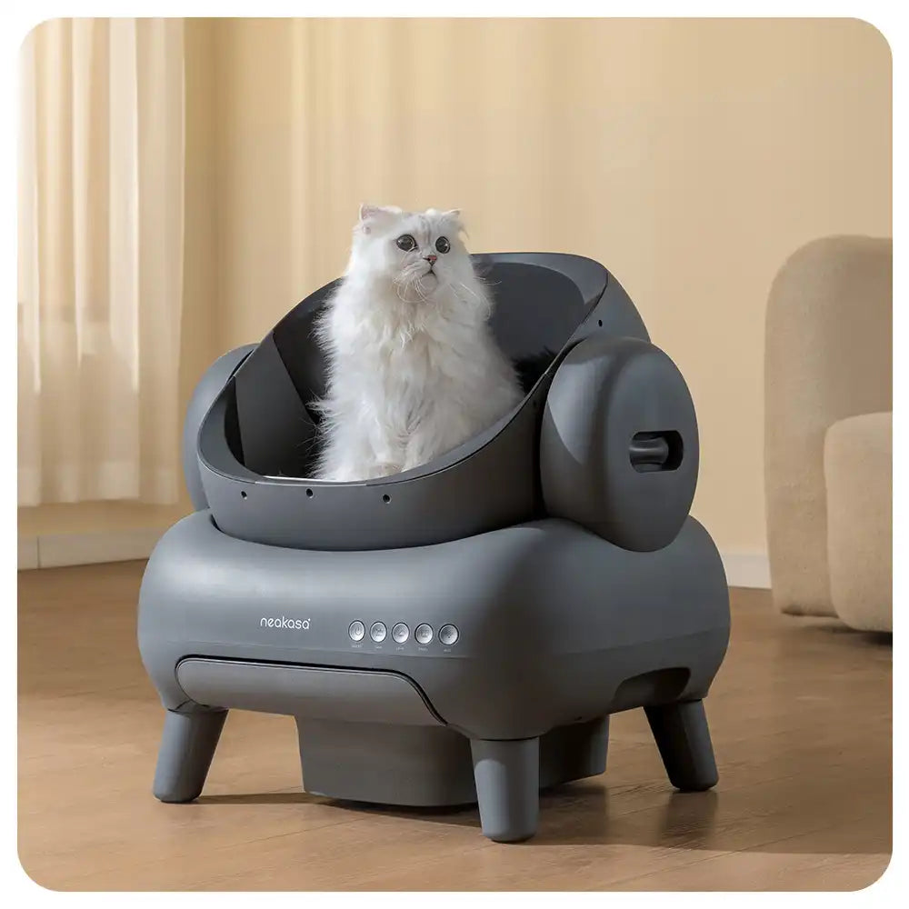 The Purr-fect Solution: Why an Automatic Litter Box Will Change Your Life