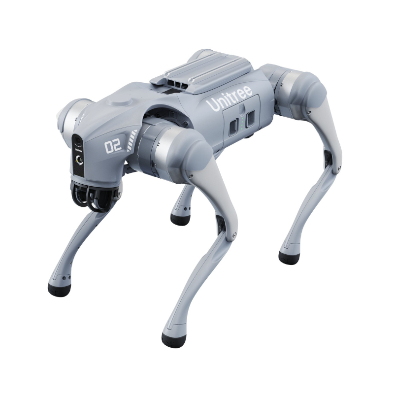 Robot Dogs