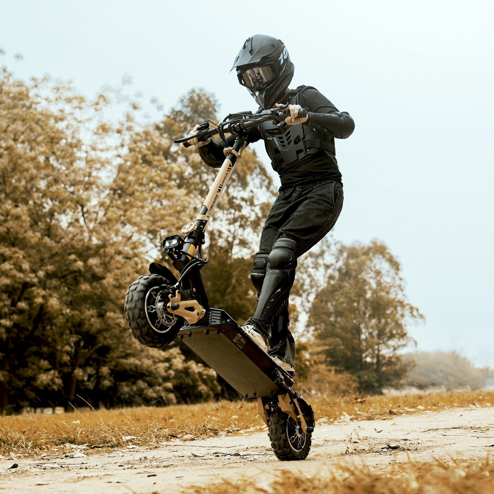 Circooter Cruiser Pro All-Terrain Electric Scooter - 2400W