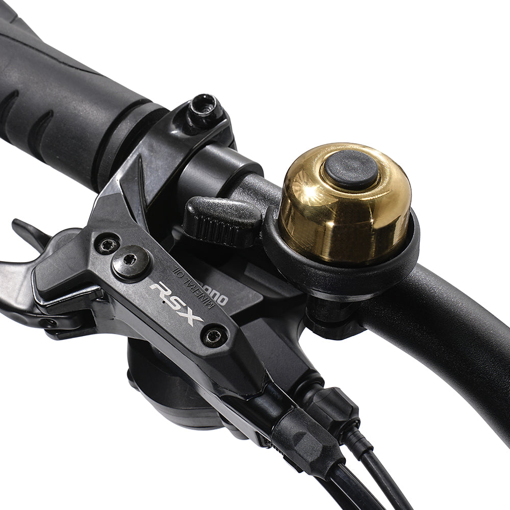 CYCROWN Dremax Commuter Ebike
