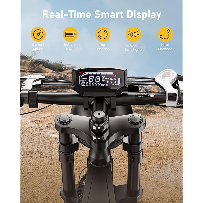 Isinwheel R6 Retro Electric Bike for Adults