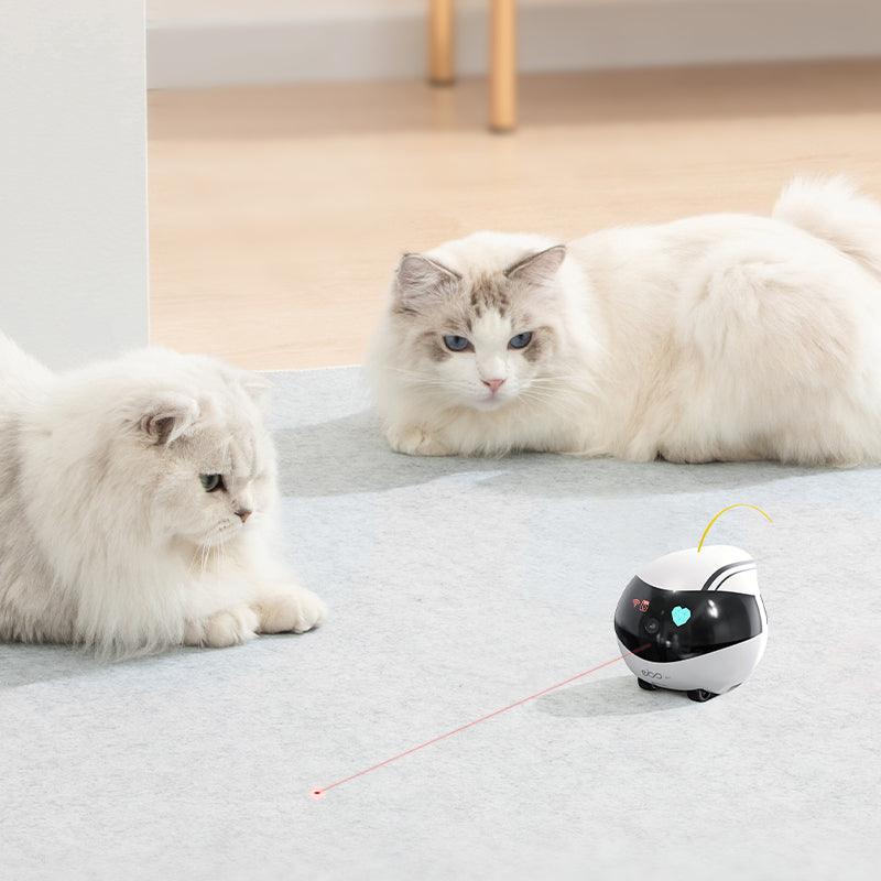 Enabot EBO Air Smart Home Moving Robot