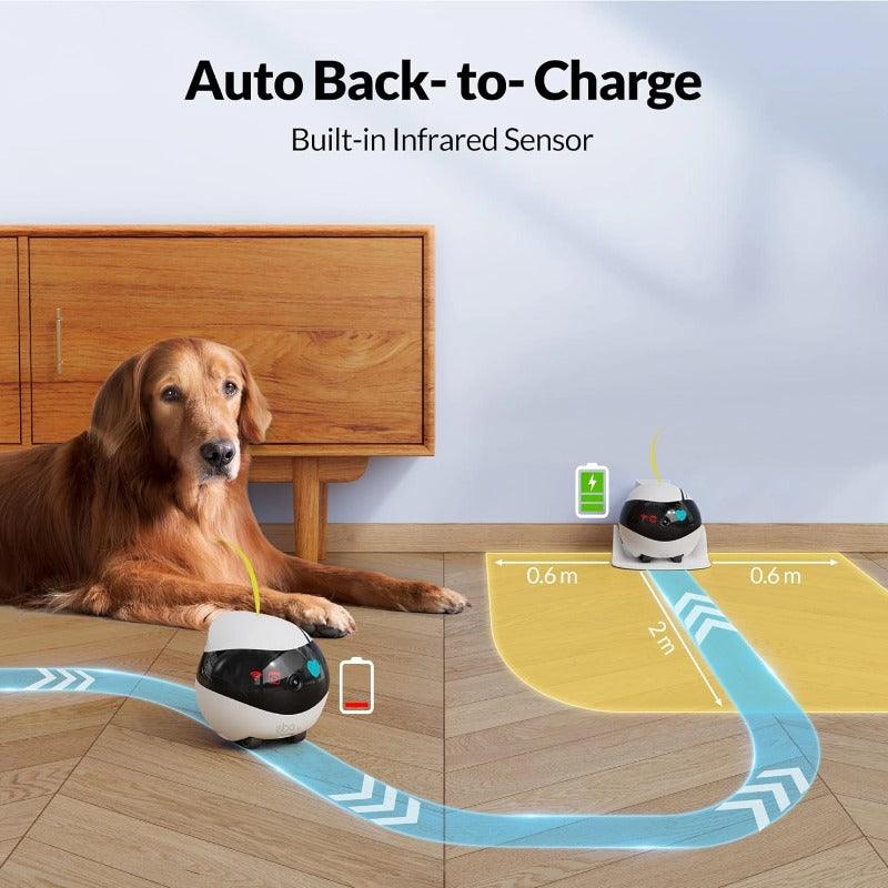 Enabot EBO Air Smart Home Moving Robot