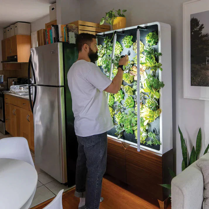 Just Vertical ECO Living Green Wall