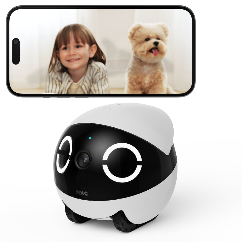 ROLA Mini Companion Robot