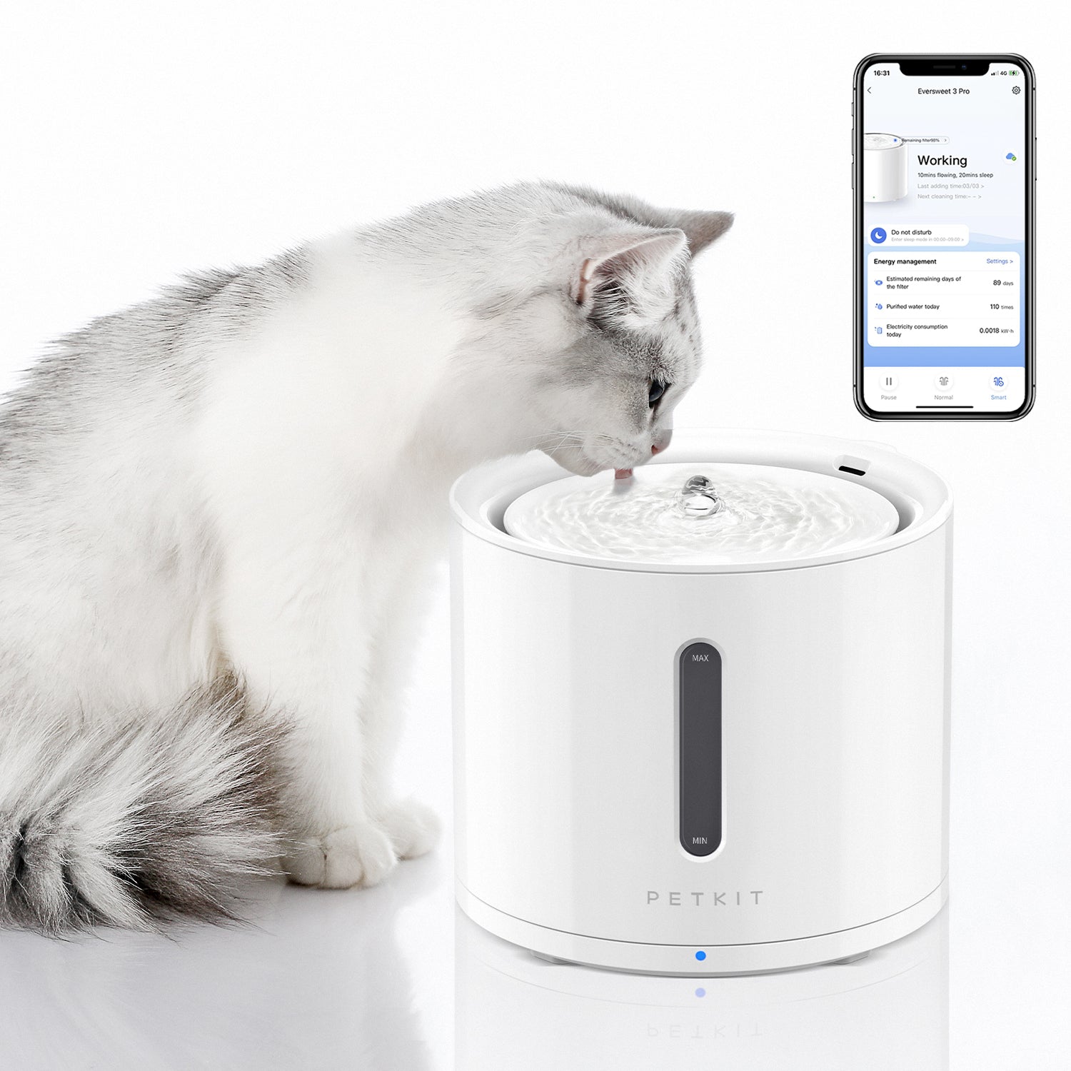 FurWaker Grooming Kit+EverSweet Fountain